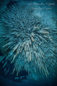 Explosion in Dream Gates, Playa del Carmen México by Alejandro Topete 